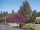 Webcam in Son en Breugel, 54 km