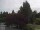 Webcam in Son en Breugel, 55.1 km
