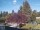Webcam in Son en Breugel, 19.7 mi away