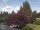 Webcam in Son en Breugel, 8.8 km