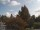 Webcam in Son en Breugel, 17.9 km