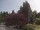 Webcam in Son en Breugel, 59.8 km