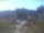 Webcam in Jestetten, 14.2 km