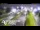 Webcam in Glenfield, 2.8 mi away