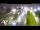 Webcam in Glenfield, 1.8 mi away