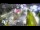 Webcam in Glenfield, 3 km