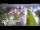Webcam in Glenfield, 8.6 km entfernt