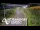 Webcam in North Shore, 6.7 km entfernt