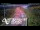 Webcam in North Shore, 5.3 km entfernt