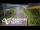 Webcam in North Shore, 0.6 mi away