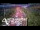 Webcam in North Shore, 4.8 km entfernt