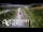 Webcam in North Shore, 0.6 mi away