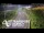 Webcam in North Shore, 9.4 km