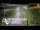 Webcam in North Shore, 7.3 km entfernt
