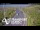 Webcam in North Shore, 0.6 mi away