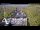 Webcam in North Shore, 0.6 mi away