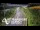 Webcam in North Shore, 0.6 mi away