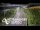 Webcam in North Shore, 1.6 km