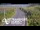 Webcam in North Shore, 7.8 km entfernt