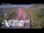 Webcam in North Shore, 1.5 km