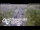 Webcam in North Shore, 5.3 km