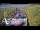 Webcam in North Shore, 1.6 km