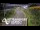 Webcam in North Shore, 0.6 mi away