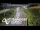 Webcam in North Shore, 4.8 km