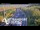 Webcam in North Shore, 0.6 mi away