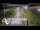 Webcam in North Shore, 0.6 mi away