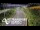 Webcam in North Shore, 6.9 km