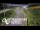 Webcam in North Shore, 3.5 km entfernt