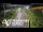 Webcam in North Shore, 6.7 km entfernt