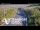 Webcam in North Shore, 5.3 km entfernt