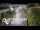 Webcam in North Shore, 0.6 mi away