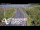Webcam in North Shore, 0.6 mi away