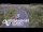 Webcam in North Shore, 7.8 km