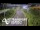 Webcam in North Shore, 0.6 mi away