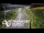 Webcam in North Shore, 1.6 km