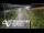 Webcam in North Shore, 0.6 mi away