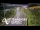 Webcam in North Shore, 0.6 mi away