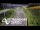 Webcam in North Shore, 0.6 mi away