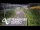 Webcam in North Shore, 0.6 mi away