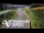 Webcam in North Shore, 10.4 km entfernt