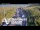 Webcam in North Shore, 2.5 mi away