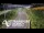 Webcam in North Shore, 6.9 km