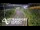 Webcam in North Shore, 2.5 mi away