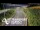 Webcam in North Shore, 0.6 mi away