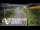 Webcam in North Shore, 5.3 km