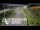 Webcam in North Shore, 0.6 mi away